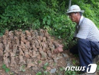 [르포] 한국전쟁 67년, 충북 단양 '통한의 곡계굴'