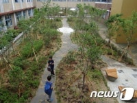 광주 남구, 효덕초에 정원숲 조성