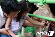 [화보]밀크 스쿨 입학…5차 해피버스데이 체험