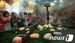 전시로 배우는 6.25 전쟁의 참상