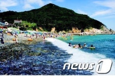 [해수욕장특집]거제의 해수욕장에는 특별함이 있다