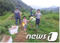 서울시, 농작물 나눔 행사 ‘희망서울 친환경농장’