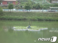 청주명암저수지 물 위 손바닥 공원 눈길