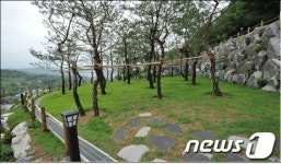 경기 광주시 불법수목장 의혹 시설물 철거하겠다