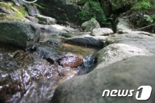 국립 중미산자연휴양림, 7월 자연휴양림 선정