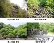 산림청, 풍혈지역 25곳 유전자원보호 지정 추진