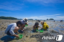 여름 체험여행은 해남으로 오세요