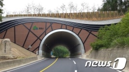 문경 백두대간 벌재 능선, 83년만에 연결