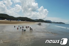 고창 구시포해수욕장 4일 개장