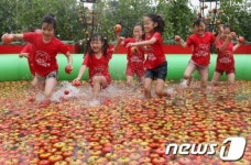 신나는 토마토 풀장