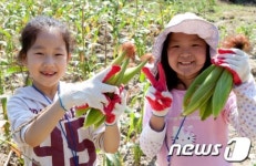 교보생명, 가족사랑 농촌체험 떠나요