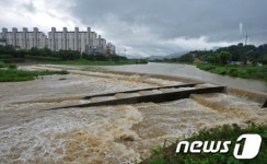 갑자기 불어난 전주 삼천천