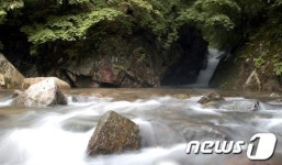 함께 즐겨요! 더위잡는 원주계곡·유원지