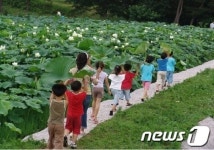 김제 하소백련축제 12일 개막
