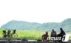다리 밑 그늘이 폭염 피하는 명당