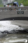 다리 위에서라도