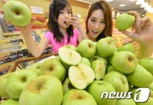 아삭아삭한 햇사과 맛보세요