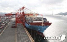 축구장 4개 규모 맥키니 몰러호 광양항 입항