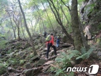 [여름산행특집]지친일상 활력을 주는 원주 치악산