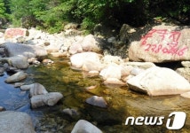 [르포]울산12경 내원암 계곡, 바위 훼손·쓰레기 신음