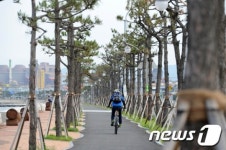 포항 송도·해맞이공원에 무료자전거 대여소 등장