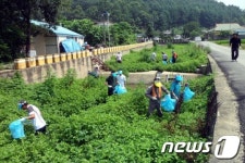 대전 서구  25일 도랑살리기 정화 활동