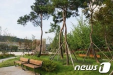 삭막한 강원도 내 교정, 푸른 숲으로 탈바꿈
