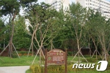 삭막한 강원도 내 교정, 푸른 숲으로 탈바꿈
