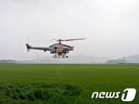 [단신] 단풍미인쌀, 항공방제 실시