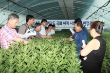 금산 국화 하계시범재배사업 평가회 개최