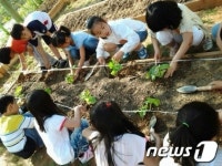 화순군, 초등학교 원예활동 활성화 적극 추진