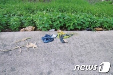 군산 대야에서 발견된 실종여성 옷가지들