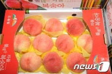 장성군 아삭아삭 불태산 차돌복숭아 맛보세요