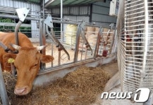 울산날씨 40도 육박…기상 관측 82년만에 최고