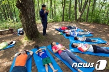 “강원도 고원 숲에서 힐링하세요”