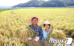 올해 첫 벼 수확 풍년일세