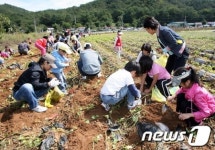 단양군, 농촌체험관광 1번지로 우뚝