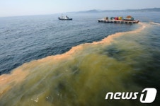 강원 동해안 적조 북상 中…황토살포어선 비상대기