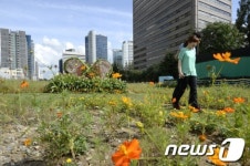 꽃길로 변신한 경의선 철길