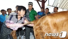 [단신] 함평농업대학 한우 자가인공수정 교육