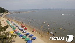 보성 율포솔밭해변 피서객 급증…56만명 방문