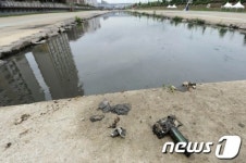 부산시, 삼락천 오·폐수 대책 전전긍긍
