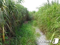 군산 금강생태습지공원 관리 엉망…시민 외면