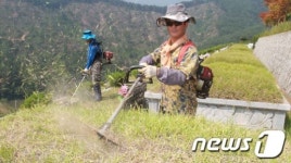 추석 앞둔 벌초