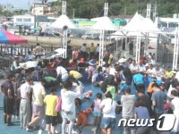 제6회 강진마량미항축제 13~15일 개최