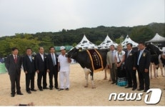 이천시, 14일 젖소 홀스타인 품평회