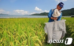 가을 알리는 허수아비