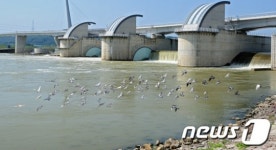 대구 달성 강정고령보 수문개방