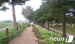 예산, 도중도 한반도길 가을정취 물씬