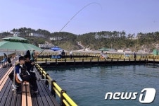 울주 송정바다낚시터, 유어장 변신 ‘재기의 꿈’